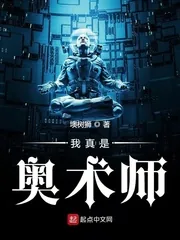 《我真是奥术师》小说封面