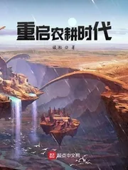 《重启农耕时代》小说封面