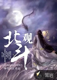 《观北斗》小说封面