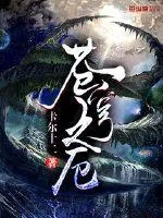 《苍穹之厄》小说封面
