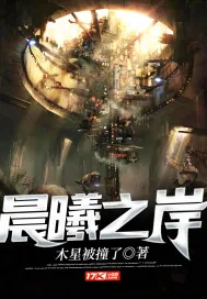 《晨曦之岸》小说封面