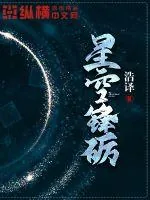 《星空锋砺》小说封面