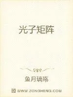 《光子矩阵》小说封面