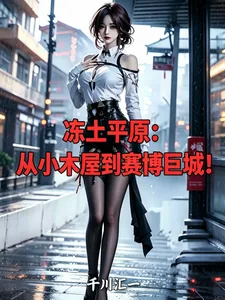 《冻土平原,从小木屋到赛博巨城!》小说封面