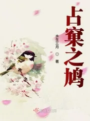 《占窠之鸠》小说封面