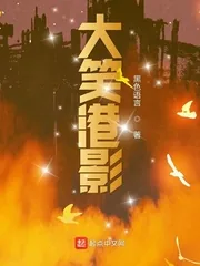 《大笑港影》小说封面