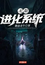 《无限进化系统》小说封面