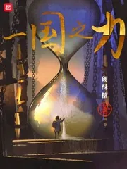 《一国之力》小说封面