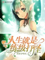 《人生就是练级打怪》小说封面