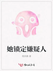 《她锁定嫌疑人》小说封面