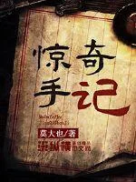《惊奇手记》小说封面