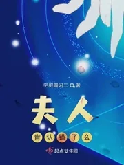 《夫人肯认错了么》小说封面