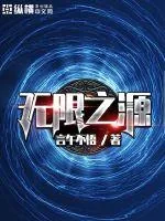 《无限之源》小说封面