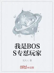 《我是BOSS专怼玩家》小说封面