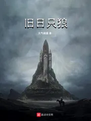 《旧日只狼》小说封面