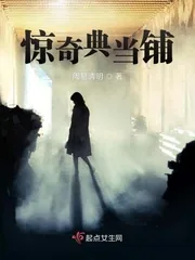 《惊奇典当铺》小说封面