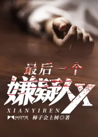 《最后一个嫌疑人X》小说封面