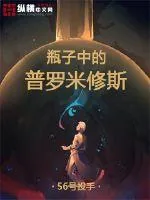 《瓶子中的普罗米修斯》小说封面