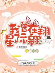 《我曾在星际翱翔》小说封面