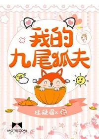 《我的九尾狐夫》小说封面