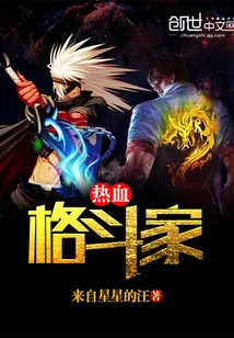 《热血格斗家》小说封面