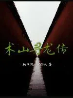 《术山寻龙传》小说封面
