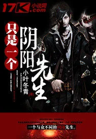 《只是一个阴阳先生》小说封面
