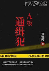 《A级通缉犯》小说封面