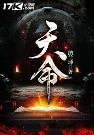 《天命》小说封面