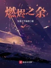《燃烬之余》小说封面
