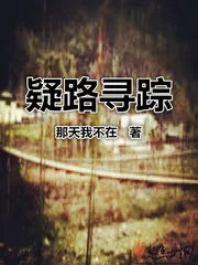 《疑路寻踪》小说封面