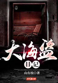 《大海盗日记》小说封面