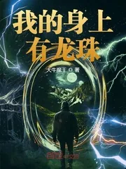 《我的身上有龙珠》小说封面