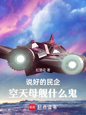 《说好的民企，空天母舰什么鬼》小说封面