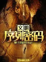 《文明序列密码》小说封面