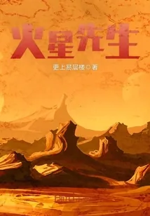 《火星先生》小说封面