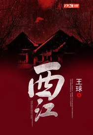 《西江》小说封面