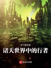 《诸天世界中的行者》小说封面
