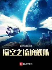 《深空之流浪舰队》小说封面