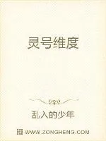 《灵号维度》小说封面