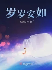 《岁岁安如》小说封面