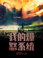《我的爆怒系统》小说封面