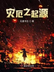 《灾厄之起源》小说封面