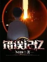《错误记忆》小说封面