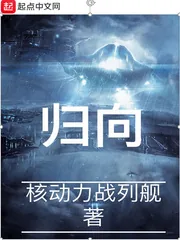 《归向》小说封面