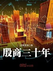 《殷商三十年》小说封面