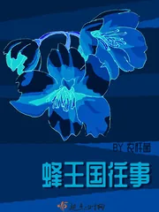 《蜂王国往事》小说封面
