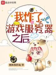 《我炸了游戏服务器之后》小说封面