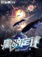 《黑暗定律》小说封面