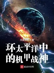 《环太平洋中的机甲战神》小说封面